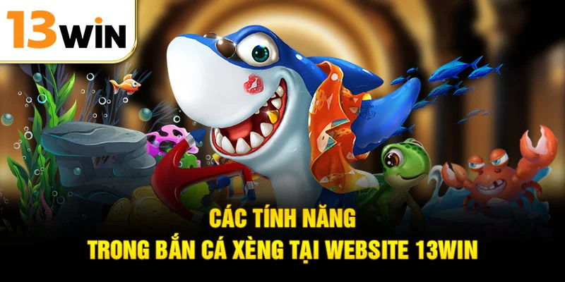 Các tính năng trong bắn cá xèng tại website 13WIN