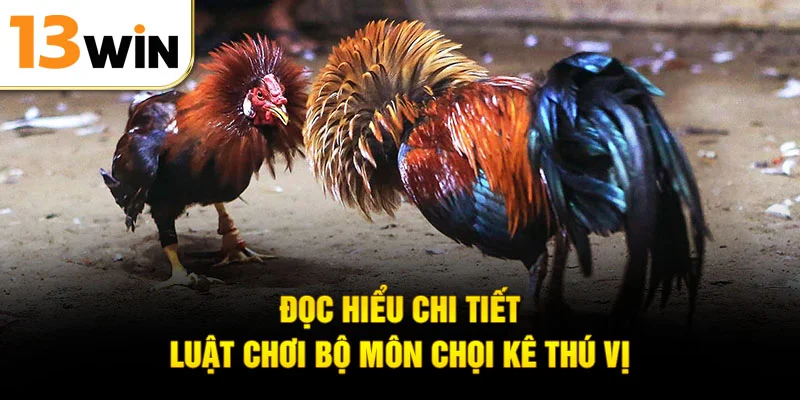 Đọc hiểu chi tiết luật chơi bộ môn chọi kê thú vị