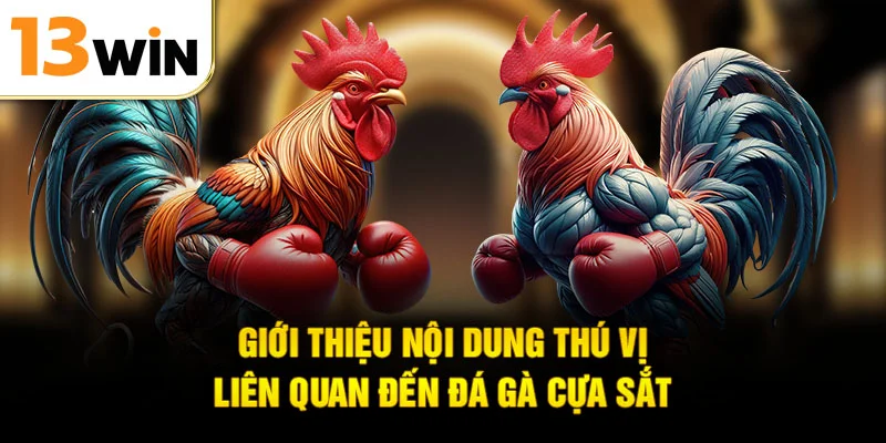 Giới thiệu nội dung thú vị liên quan đến đá gà cựa sắt