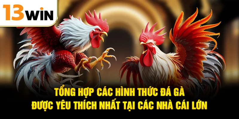 Tổng hợp các hình thức đá gà được yêu thích nhất tại các nhà cái lớn