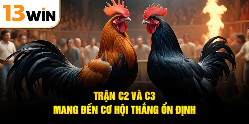 Trận C2 và C3 mang đến cơ hội thắng ổn định