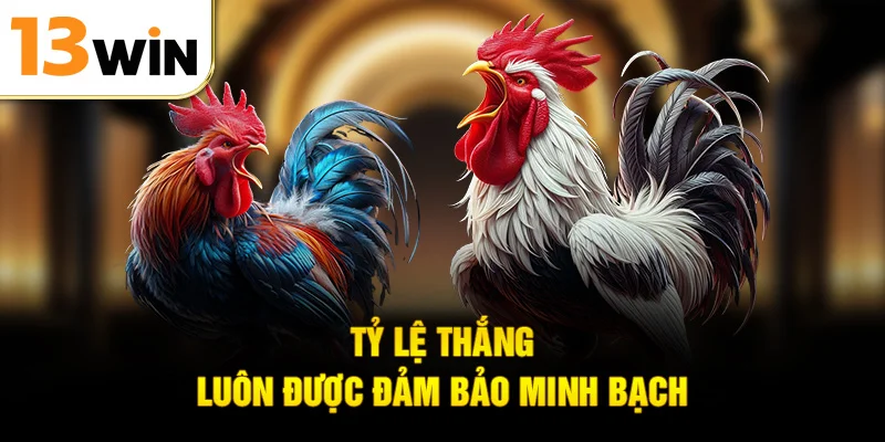 Tỷ lệ thắng luôn được đảm bảo minh bạch