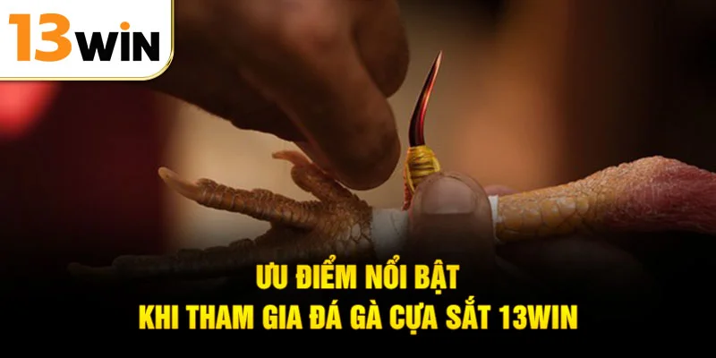 Ưu điểm nổi bật khi tham gia đá gà cựa sắt 13WIN