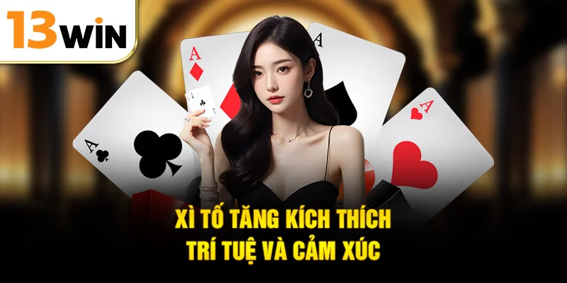 Xì Tố tăng kích thích trí tuệ và cảm xúc